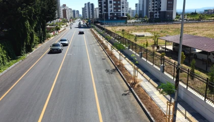 Mersin’de Gazi Paşa Caddesi 420 ağaçla yeşillendi