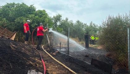 Mudanya Göynüklü’deki yangın ormanlık alana sıçramadan kontrol altına alındı