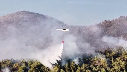 Muğla Milas’taki yangın büyük ölçüde kontrol altında