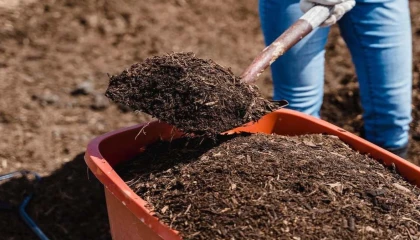 Tarımsal girdi verileri açıklandı... Gübre zam şampiyonu oldu