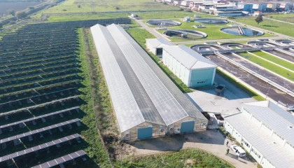 Türkiye’de öncü proje: Arıtma çamuru enerjiye ve toprak düzenleyiciye dönüşecek