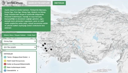 Türkiye’nin ”Zeytin Atlası” erişime açıldı