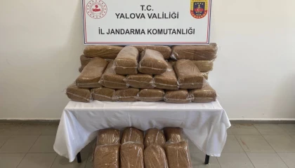 Yalova’da 160 kilogram bandrolsüz tütün ele geçirildi